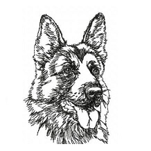 Generic head shot small